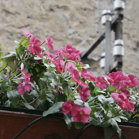 Casa Pesadina * Naples